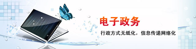 电子政务